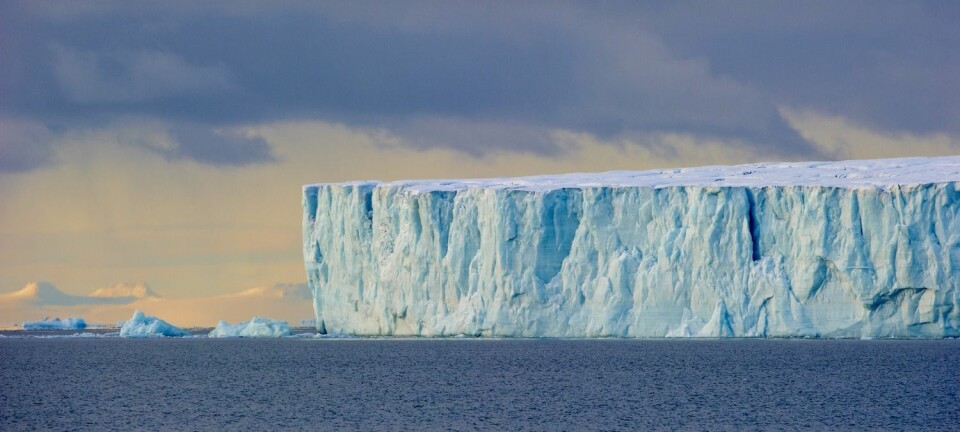 Isfronten fra Austfonna ut mot havet, hvor breen kalver i sjøen. (Foto: Steinar Myhr/Samfoto)