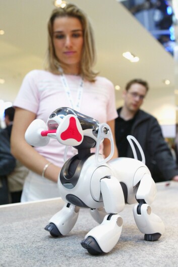 Sonys velkjente kosehund Aibo. (Foto: Microstock) Sonys velkjente kosehund Aibo. (Foto: Microstock)