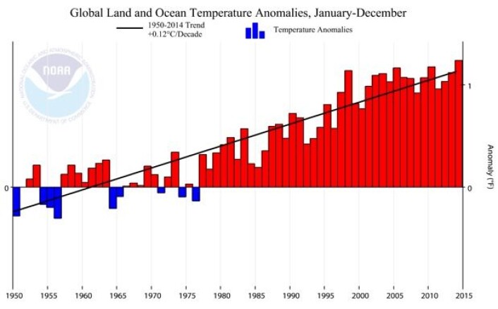 Global temperatur fra NOAA for perioden 1950 - 2014. Trenden gjennom disse 65 årene er 0,12 grader C pr tiår. (Bilde: NOAA) Global temperatur fra NOAA for perioden 1950 - 2014. Trenden gjennom disse 65 årene er 0,12 grader C pr tiår. (Bilde: NOAA)