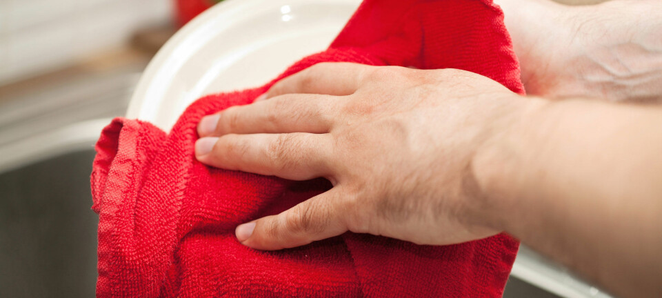 Gener for antibiotikaresistens kan overføres gjennom et oppvaskhåndkle. (Foto: Microstock)