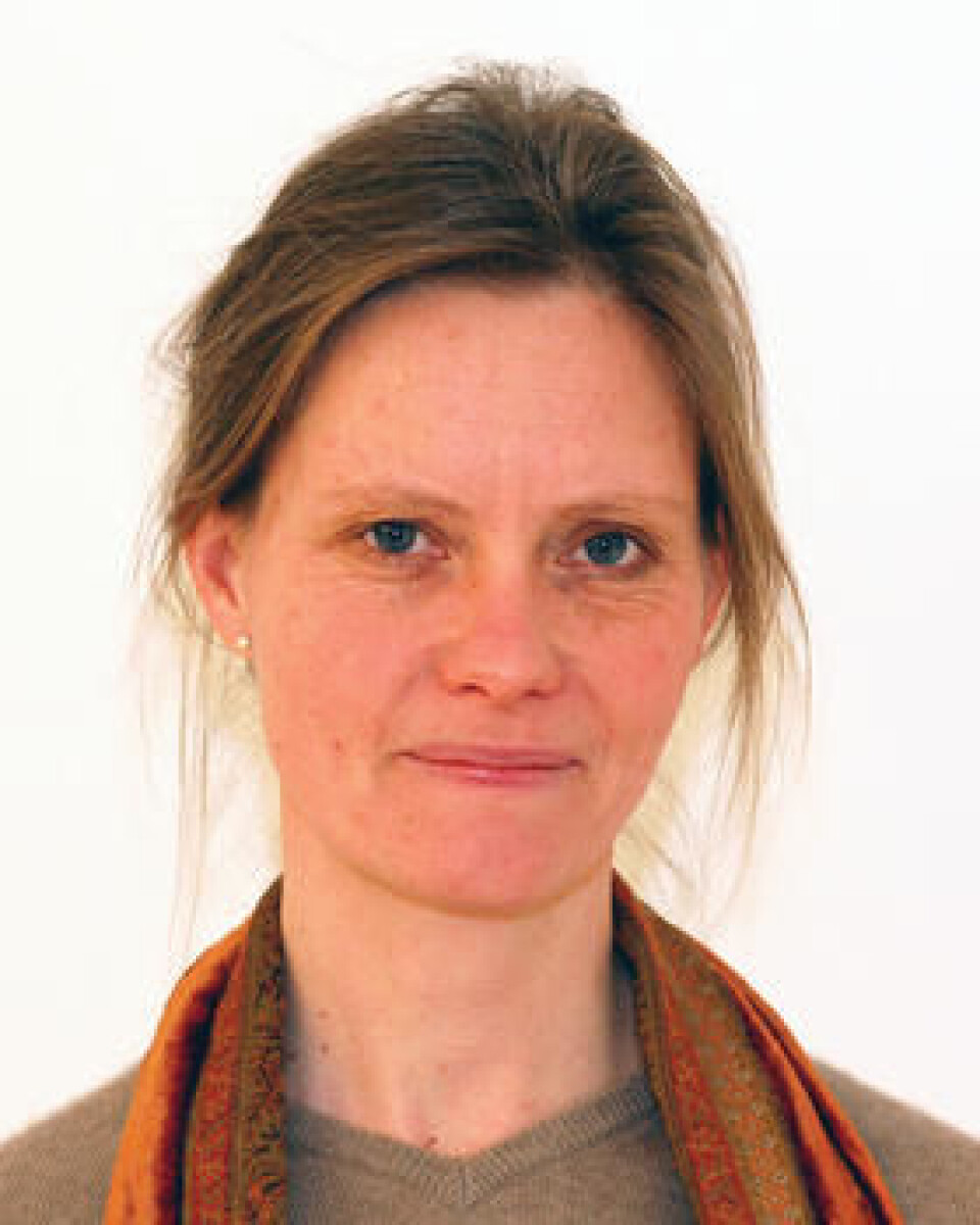Anna Hagen Tønder ved Fafo mener at regjeringen gir signaler om at det offentlige verdsetter fagkompetanse når de nå vil stille strengere krav til bedriftene om å ta inn lærlinger. (Foto: Universitetsforlaget)