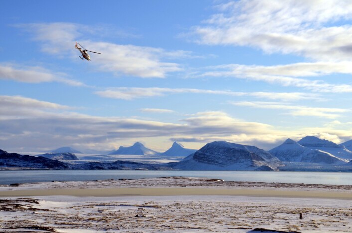 En del av logistikken består av Airlifts helikopter som frakter forskerne inn og ut fra Ny-Ålesund. (Foto: Helge M. Markusson, Framsenteret) En del av logistikken består av Airlifts helikopter som frakter forskerne inn og ut fra Ny-Ålesund. (Foto: Helge M. Markusson, Framsenteret)