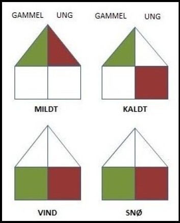 Hvor eldre og yngre fugler oppholder seg i trærne under forskjellige forhold. (Foto: (Illustrasjon: NTNU)) Hvor eldre og yngre fugler oppholder seg i trærne under forskjellige forhold. (Foto: (Illustrasjon: NTNU))