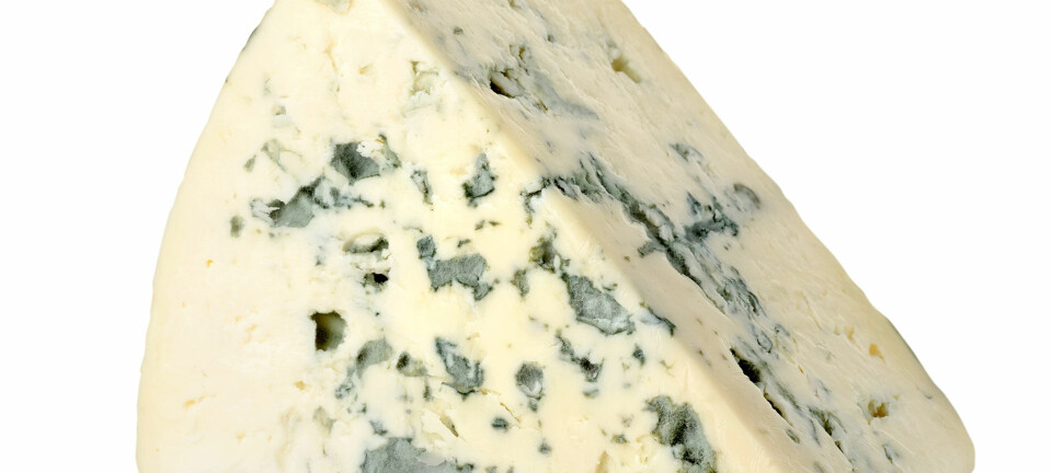 Fermenterte eller gjærede oster som Roquefort og Gammelost er rike på vitamin K2. Vitaminet viser seg å ha positiv effekt på tilførsel av kalsium til skjelettet.  (Foto: Microstock)
