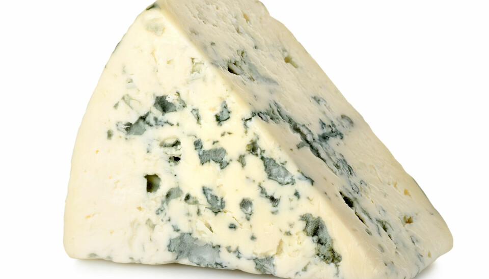 Fermenterte eller gjærede oster som Roquefort og Gammelost er rike på vitamin K2. Vitaminet viser seg å ha positiv effekt på tilførsel av kalsium til skjelettet.  (Foto: Microstock)