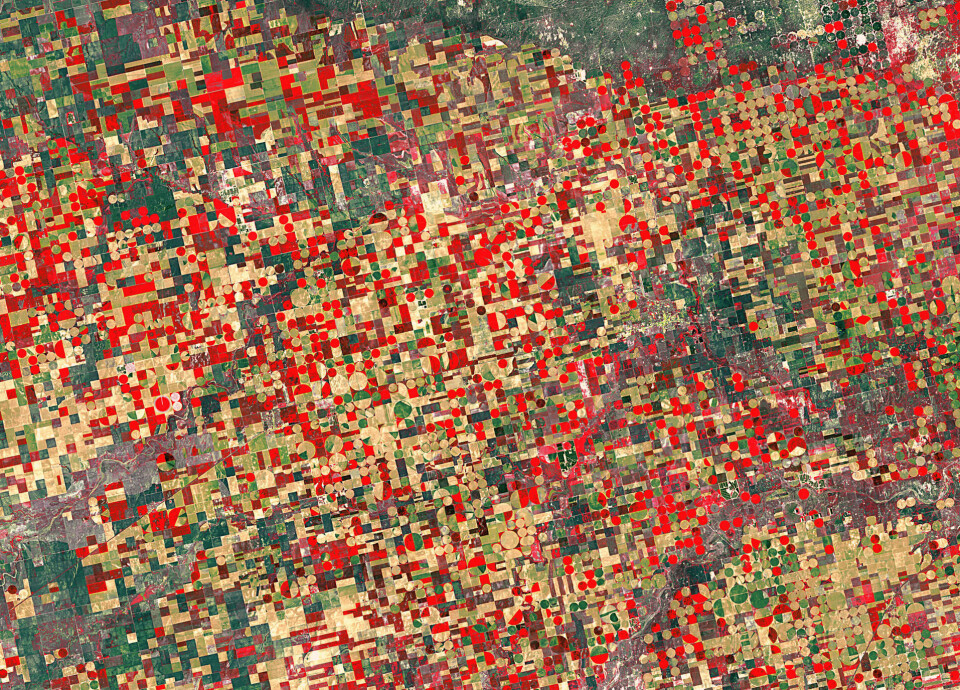 Åkre med ulike typer matplanter i Kansas sett av den amerikanske satellitten Landsat-5 i 2012. (Foto: USGS/ESA)