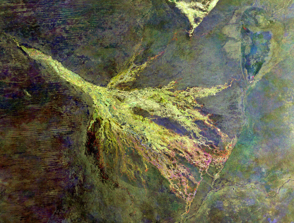 Okavango-deltaet i Botswana i det sørvestre Afrika sett av Envisat. (Foto: ESA)