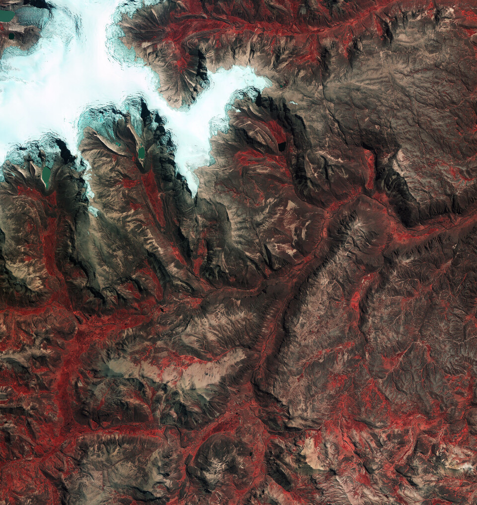 Isbreen Quelccaya (is i hvitt, vegetasjon i rødt) i Andesfjellene i Peru sett av den sør-koreanske satellitten Kompsat-2 i 2009. (Foto: KARI/ESA)