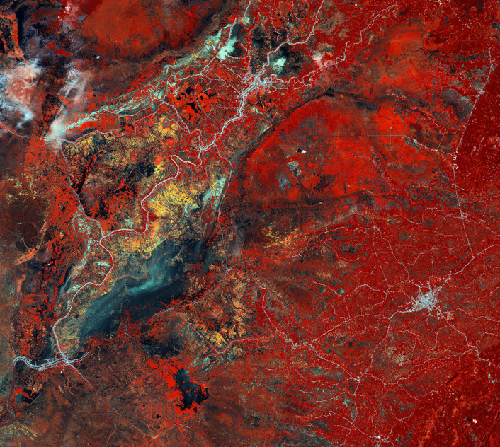 Regnskog (rødt), veier (hvite striper) og jordbruk (gule felt) i det sørlige Kalimantan på Borneo sett av den japanske satellitten ALOS i 2010. (Foto: JAXA/ESA) Regnskog (rødt), veier (hvite striper) og jordbruk (gule felt) i det sørlige Kalimantan på Borneo sett av den japanske satellitten ALOS i 2010. (Foto: JAXA/ESA)