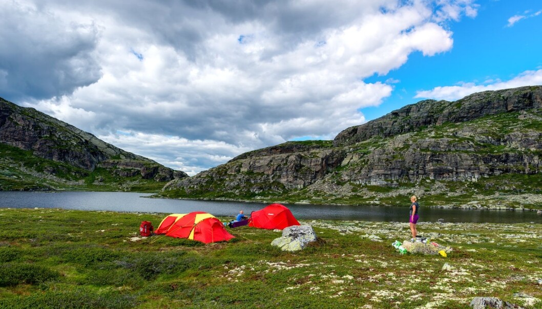Forskeren mener Hemsedal har klart det, nemlig å kombinere turisme og tradisjonelt landbruk. (Foto: Jiri Castka/CTK) Forskeren mener Hemsedal har klart det, nemlig å kombinere turisme og tradisjonelt landbruk. (Foto: Jiri Castka/CTK)