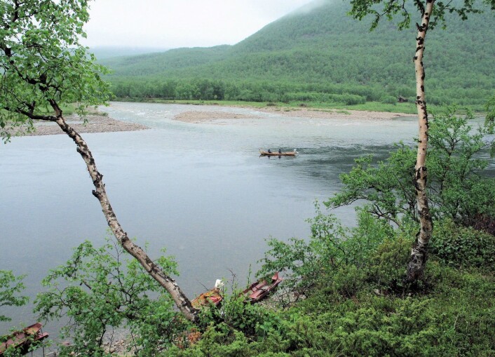 Båtefiske i Tanaelva. Her kommer Leavvajohka inn i hovedelva. (Foto: Sturla Brørs) Båtefiske i Tanaelva. Her kommer Leavvajohka inn i hovedelva. (Foto: Sturla Brørs)