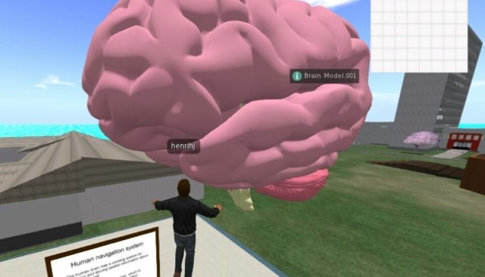 Hjernen skal undersøkes gjennom 3D-teknologi. (Illustrasjon: Henrik Hjelle, NTNU)