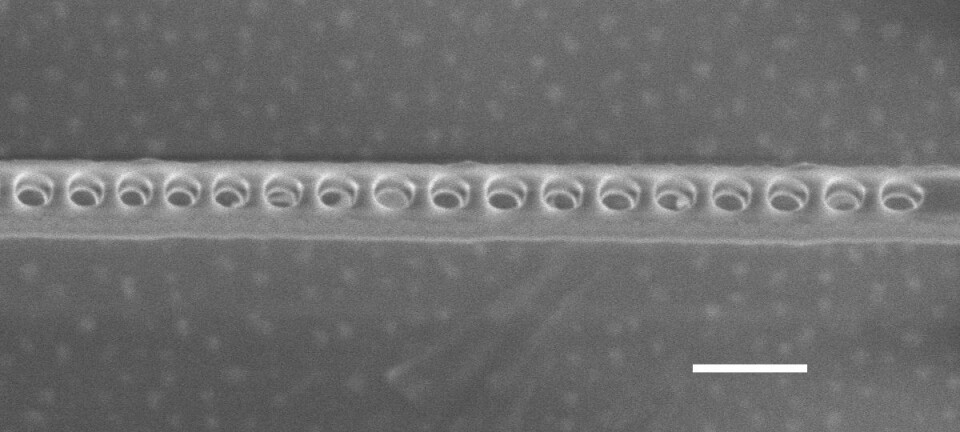 Elektronmikroskopet viser hullene i det tynne diamantlaget som forsterker lys fra elektroner. Disse elektronene lagrer kvantedata med en ny teknologi som er utviklet ved Harvard University, University of California og University of Chicago. Den vannrette hvite linja angir en lengde på 200 nanometer, eller 200 milliondels millimeter. (Bilde: Evelyn Hu/Harvard)