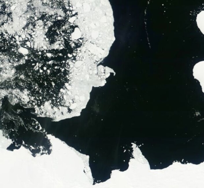Midtsommer ved kysten av Antarktis: Her en lett blanding av sjøis og åpent vann i Bellingshausen-havet. (Bilde: NASA Terra MODIS) Midtsommer ved kysten av Antarktis: Her en lett blanding av sjøis og åpent vann i Bellingshausen-havet. (Bilde: NASA Terra MODIS)