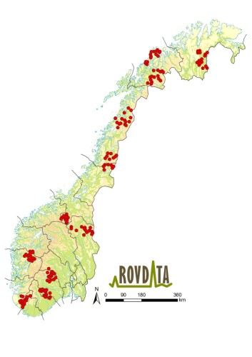 Områder med intensiv overvåking av kongeørn i Norge. Røde prikker illustrerer alle de ulike territoriene som ble overvåket i 2014. <em>Klikk på kartet for større versjon.</em> (Foto: (Kart: Rovdata)) Områder med intensiv overvåking av kongeørn i Norge. Røde prikker illustrerer alle de ulike territoriene som ble overvåket i 2014. <em>Klikk på kartet for større versjon.</em> (Foto: (Kart: Rovdata))