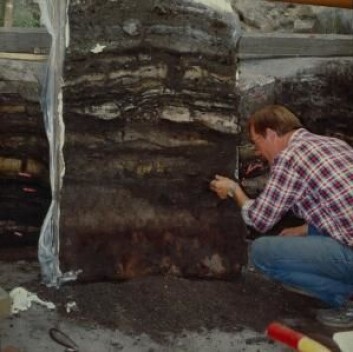 Arkeolog Stig Jensen ved utgravingen ved Sct Nicolajgade 8 i 1986. Det er data fra denne utgravingen som har ligget til grunn for de nye analysene.
(Foto: Sydvestjyske Museer) Arkeolog Stig Jensen ved utgravingen ved Sct Nicolajgade 8 i 1986. Det er data fra denne utgravingen som har ligget til grunn for de nye analysene.
(Foto: Sydvestjyske Museer)