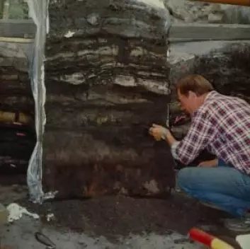 Arkeolog Stig Jensen ved utgravingen ved Sct Nicolajgade 8 i 1986. Det er data fra denne utgravingen som har ligget til grunn for de nye analysene. &#13;
 (Foto: Sydvestjyske Museer)