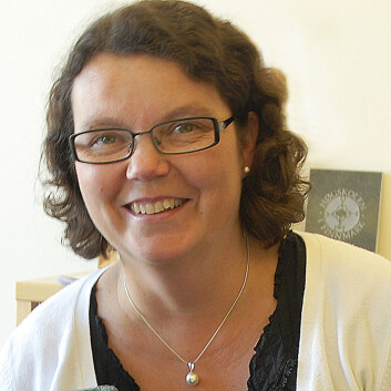 Elsa Solstad ser ikke noen enkel måte å løse styringskrasjene på. (Foto: Kjetil Nilsen, Høgskolen i Harstad) Elsa Solstad ser ikke noen enkel måte å løse styringskrasjene på. (Foto: Kjetil Nilsen, Høgskolen i Harstad)