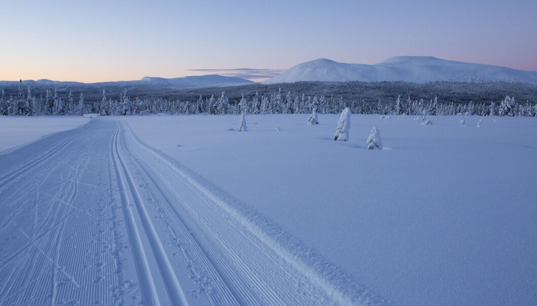 Mange foretrekker å gå løs på disse fristende skiløypene istedet for å begi seg ut på den siste stressende julehandelen. (Foto: Scanpix, Espen Bratlie) Mange foretrekker å gå løs på disse fristende skiløypene istedet for å begi seg ut på den siste stressende julehandelen. (Foto: Scanpix, Espen Bratlie)