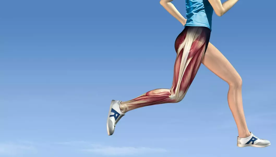 Bra for muskelcellen at du løper