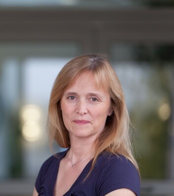 Kjersti K. Tørnkvist, avdelingsdirektør for Avdeling for måle- og instrumentteknologi ved Norsk institutt for luftforskning. (Foto: Inger Næss) Kjersti K. Tørnkvist, avdelingsdirektør for Avdeling for måle- og instrumentteknologi ved Norsk institutt for luftforskning. (Foto: Inger Næss)