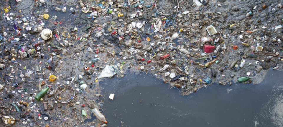 Enkelte steder samler søppelet seg i store øyer på havoverflaten. (Foto: iStock)
