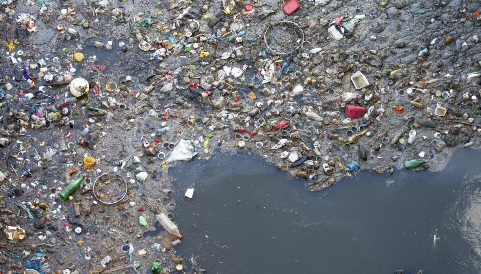 Enkelte steder samler søppelet seg i store øyer på havoverflaten. (Foto: iStock)