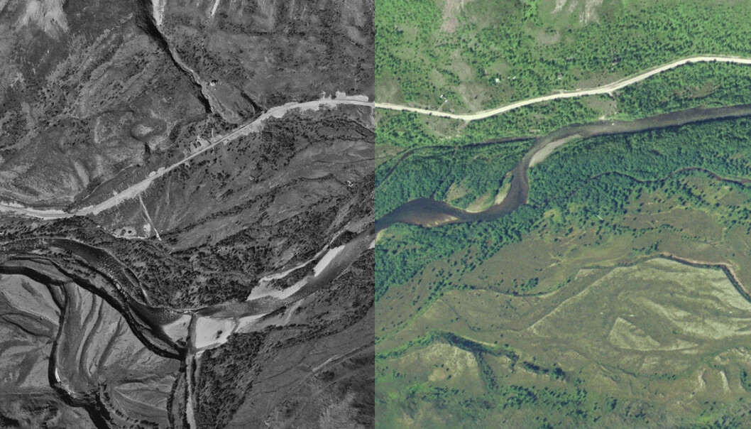 Syltefjorddalen på Varangerhalvøya, til venstre i 1969 og til høyre i 2005. Lengre ned i artikkelen er en animasjon for vekselvis sammenligning av de to bildene. (Foto: Kartverket) Syltefjorddalen på Varangerhalvøya, til venstre i 1969 og til høyre i 2005. Lengre ned i artikkelen er en animasjon for vekselvis sammenligning av de to bildene. (Foto: Kartverket)