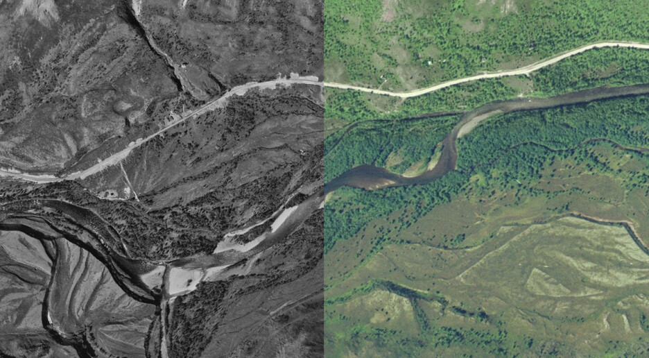 Fotoskatt fra arktisk grenseland viser at det gror igjen