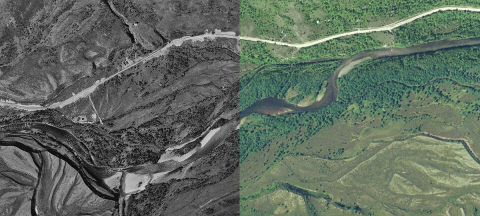 Syltefjorddalen på Varangerhalvøya, til venstre i 1969 og til høyre i 2005. Lengre ned i artikkelen er en animasjon for vekselvis sammenligning av de to bildene. (Foto: Kartverket)
