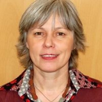 Prosjektleder Maria Dusinska. (Foto: NILU) Prosjektleder Maria Dusinska. (Foto: NILU)