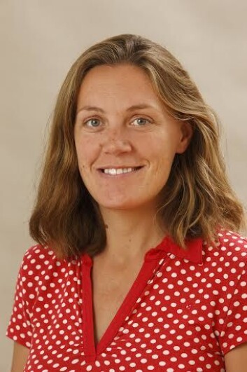 Birgitta Thorslund. (Foto: VTI) Birgitta Thorslund. (Foto: VTI)
