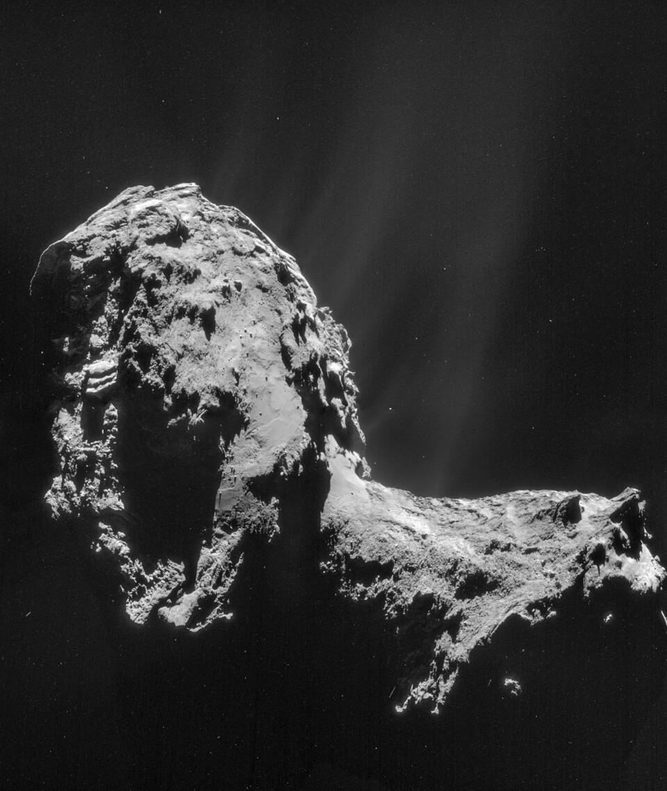 67P den 20. november 2014. Da var Rosetta 30 kilometer fra kjernen. Stråler av støv og gass står ut fra kometen. (Foto: ESA/Rosetta/NAVCAM)