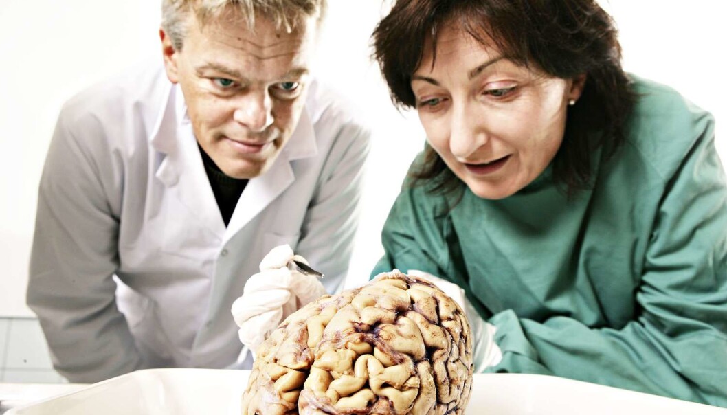 May-Britt Moser og Edvard Moser har nådd toppen som par. (Foto: Geir Mogen, AFP) May-Britt Moser og Edvard Moser har nådd toppen som par. (Foto: Geir Mogen, AFP)