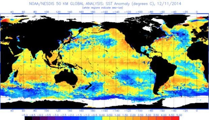 Temperatur-avvik i havoverflaten 11. desember, målt fra satellitt. (Bilde: NOAA) Temperatur-avvik i havoverflaten 11. desember, målt fra satellitt. (Bilde: NOAA)