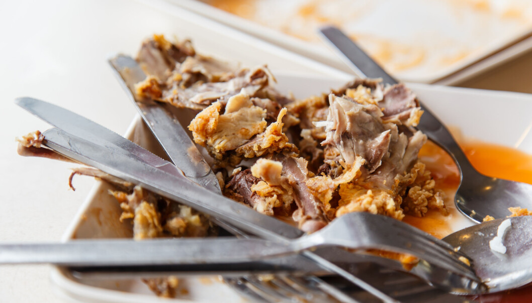 Forskerne undersøker for eksempel hvordan de kan utnytte proteinene i kyllingben best mulig. (Foto: Microstock) Forskerne undersøker for eksempel hvordan de kan utnytte proteinene i kyllingben best mulig. (Foto: Microstock)