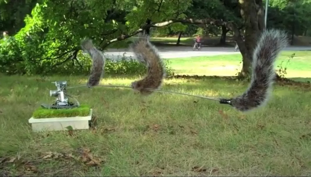 Roboten ‘Danger, Squirrel Nutkin!' fra 2009 bruker datasyn til å skanne omgivelsene for rovdyr som jakter på ekorn. For eksempel hauker, rever og mennesker. Skulle en fare nærme seg, advarer roboten de ekornene som holder i nærheten, ved å «snakke» til dem på deres eget «språk» – nemlig spesielle haleslag.  (Foto: Skjermdump fra Vimeo)