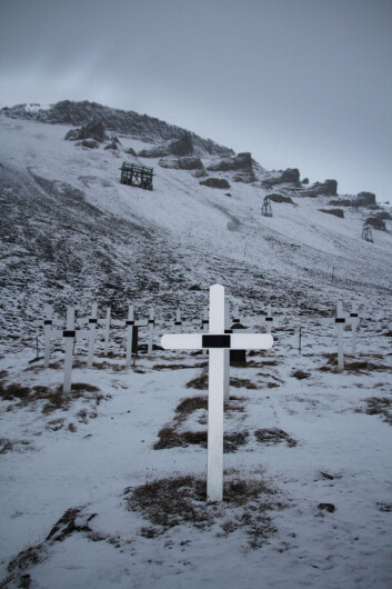 Kirkegården i Longyearbyen. Her ligger blant annet syv mennesker begravet som døde av den fryktede spanskesyken i 1918. Disse gravene ble åpnet i 1998 av en internasjonal forskergruppe. (Foto: Johanne Severinsen) Kirkegården i Longyearbyen. Her ligger blant annet syv mennesker begravet som døde av den fryktede spanskesyken i 1918. Disse gravene ble åpnet i 1998 av en internasjonal forskergruppe. (Foto: Johanne Severinsen)
