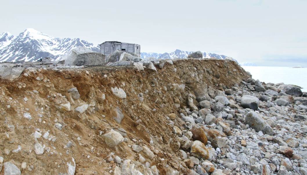 Bølgeerosjon skaper problemer for mange av kulturminnene på Svalbard. Denne russiske fangststasjonen på Svenskegattet på NordVest-Spitsbergen har to tufter og et kulturlag med mange gjenstander. Deler av kulturlaget har allerede rast ut. (Foto: Johanne Severinsen) Bølgeerosjon skaper problemer for mange av kulturminnene på Svalbard. Denne russiske fangststasjonen på Svenskegattet på NordVest-Spitsbergen har to tufter og et kulturlag med mange gjenstander. Deler av kulturlaget har allerede rast ut. (Foto: Johanne Severinsen)