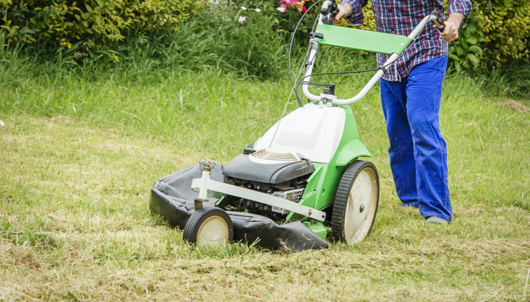 En liten sommerjobb kan utgjøre en stor forskjell for ungdom som står i fare for å bli kriminelle. (Foto: Microstock) En liten sommerjobb kan utgjøre en stor forskjell for ungdom som står i fare for å bli kriminelle. (Foto: Microstock)