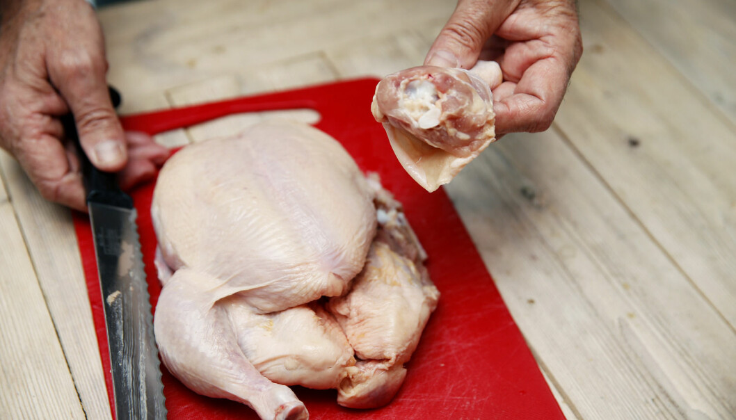 Ti ting du bør vite om narasin og kylling