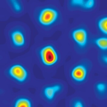 May-Britt og Edvard Moser oppdaget en spesiell type nervecelle kalt gridceller. Disse cellene danner en slags indre GPS i hjernen. (Foto: Kavli Institute for Systems Neuroscience) May-Britt og Edvard Moser oppdaget en spesiell type nervecelle kalt gridceller. Disse cellene danner en slags indre GPS i hjernen. (Foto: Kavli Institute for Systems Neuroscience)