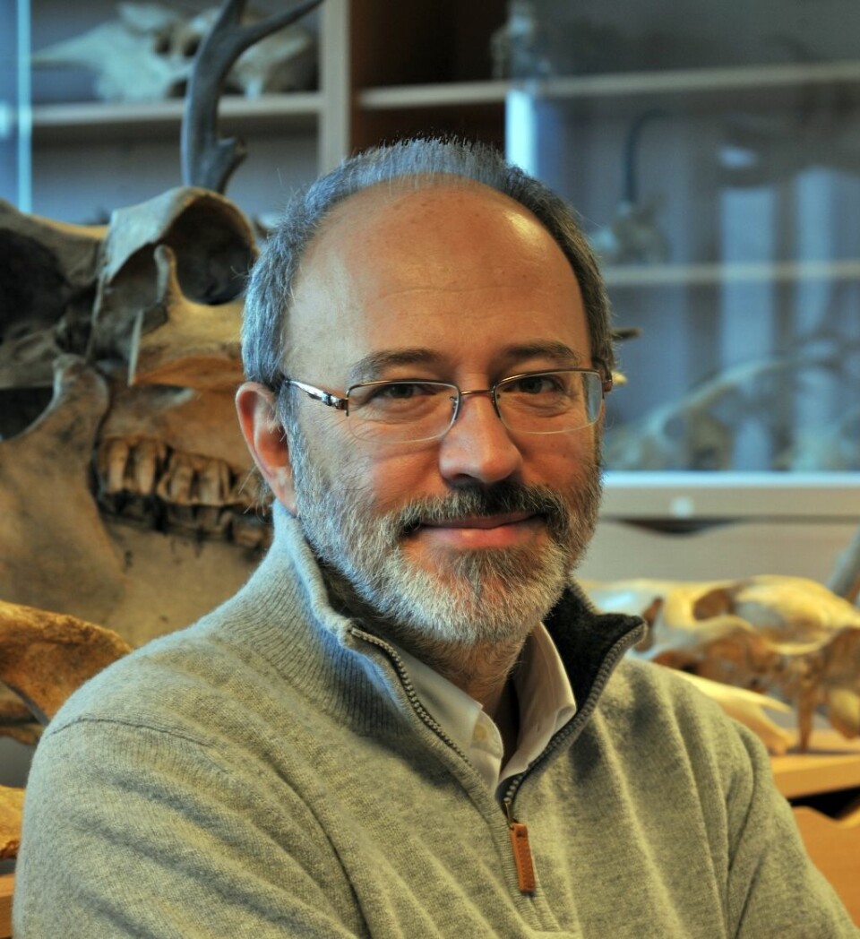 Francesco d'Errico, professor i arkeologi ved Universitetet i Bergen.  (Foto: UiB)