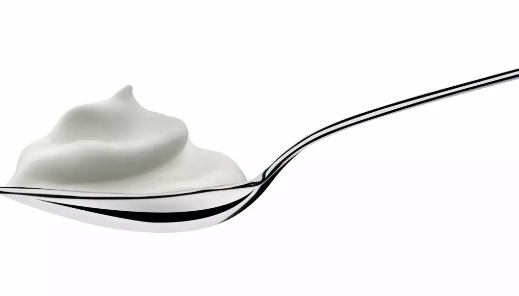 Yoghurt kan beskytte mot diabetes 2