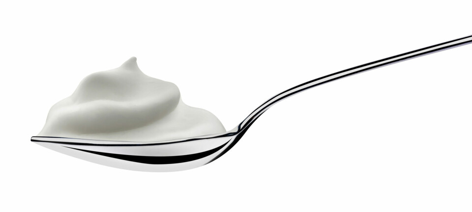 Noen skjeer yoghurt hver dag kan redusere  risikoen for å utvikle diabetes 2. (Foto: Microstock)