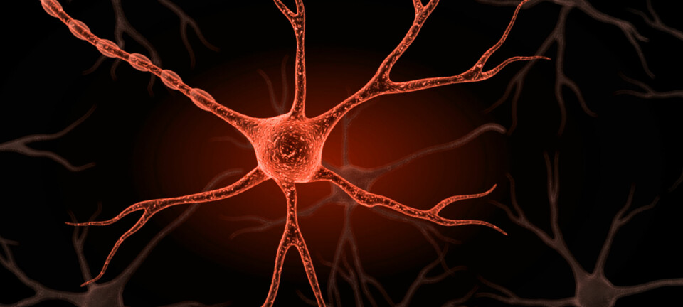 Nervecellene kan kommunisere med hverandre og formidle informasjon i kroppen.  (Illustrasjonsfoto: Colourbox)