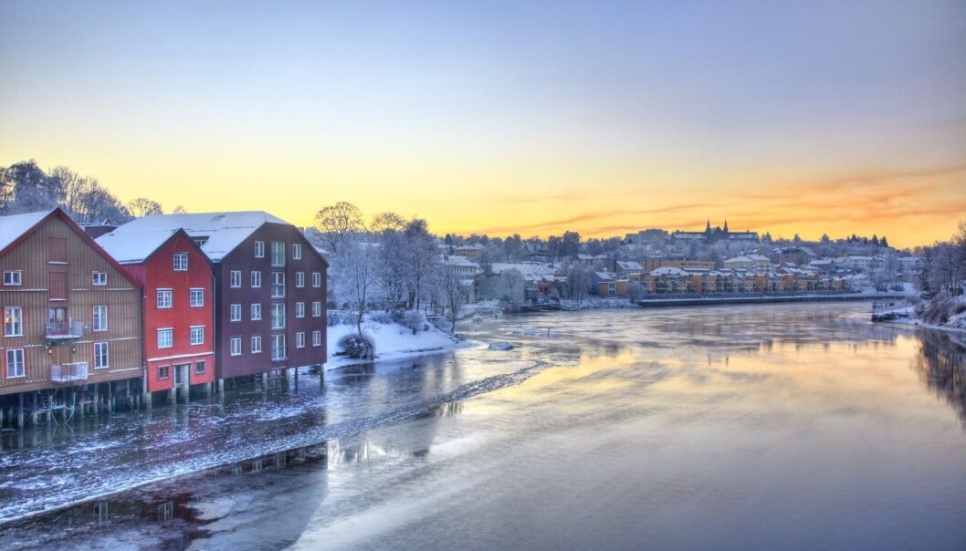I Trondheim har rektor Gunnar Bovim ved NTNU har fått i oppdrag å utrede muligheten for NTNU-campuser fra Gjøvik i sør til Narvik i nord. (Foto: Tore Wuttudal / NN / Samfoto) I Trondheim har rektor Gunnar Bovim ved NTNU har fått i oppdrag å utrede muligheten for NTNU-campuser fra Gjøvik i sør til Narvik i nord. (Foto: Tore Wuttudal / NN / Samfoto)