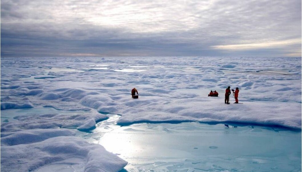 Har funnet gammel grense for havis i Arktis