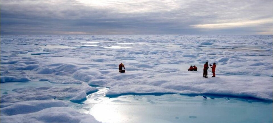 Eksotisk feltarbeid på sjøisen i Arktis. (Foto: Thomas A. Brown, Simon T. Belt)