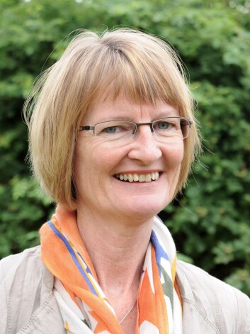 Ragnhild Hellesø, førsteamanuensis ved institutt for helse og samfunn, Universitetet i Oslo. (Foto: UiO) Ragnhild Hellesø, førsteamanuensis ved institutt for helse og samfunn, Universitetet i Oslo. (Foto: UiO)